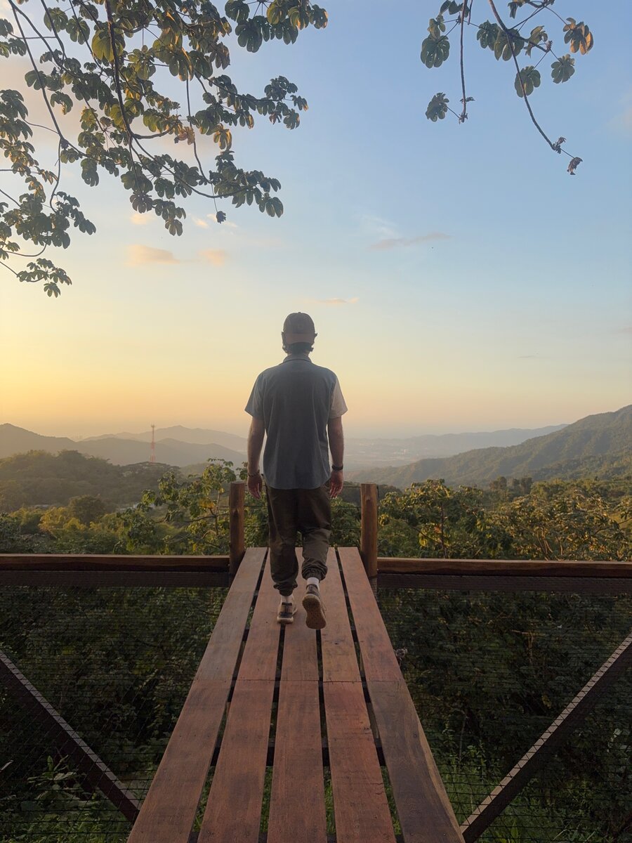 Standing on an overlook boardwalk at dusk